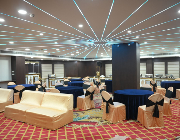Conference & Meeting